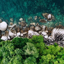 shifaaz-shamoon-nl4UmJuc-gw-unsplash