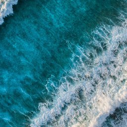 shifaaz-shamoon-oR0uERTVyD0-unsplash