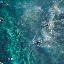 silas-baisch-LDiZP1yLQxg-unsplash