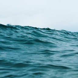 thierry-meier-PKEPAeMBOIU-unsplash