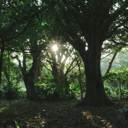 utakaha-5C7jwiUDhYU-unsplash