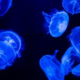 xyrene-Gf-QlgCmnyQ-unsplash