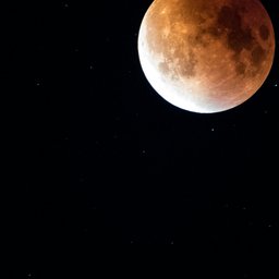 doug-walters-QQ9MzSs-o1I-unsplash