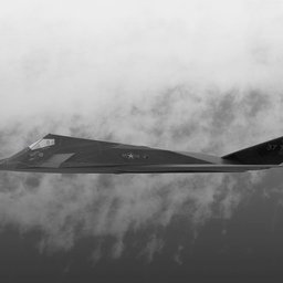 nighthawk